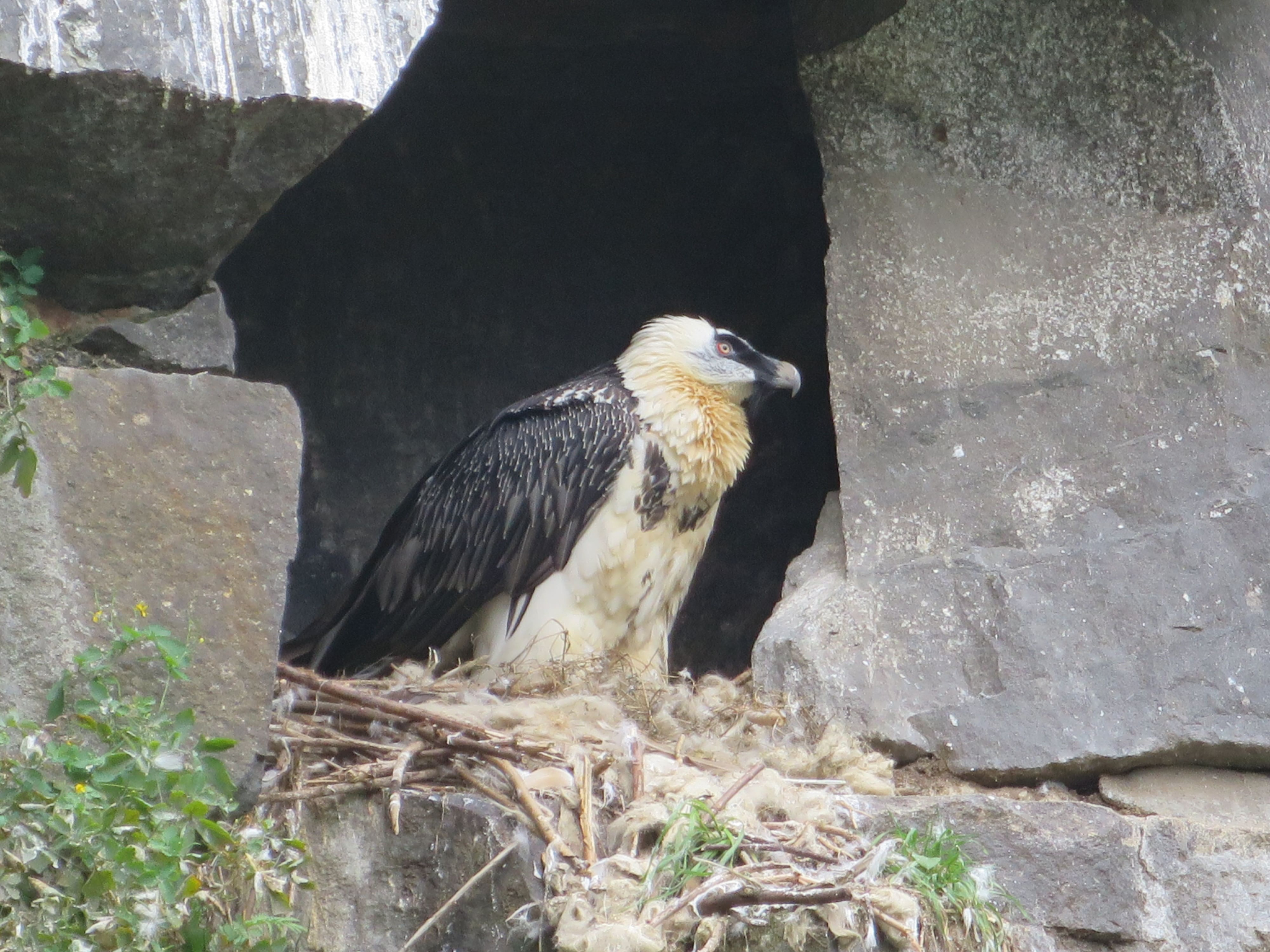 Tierpark Zoo  23